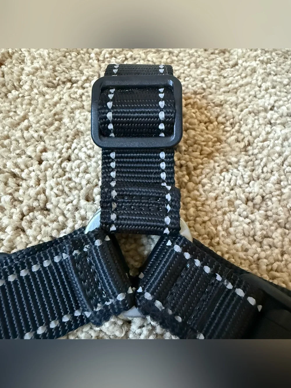 Atlas Pet Company Lifetime Dog Harness (M)